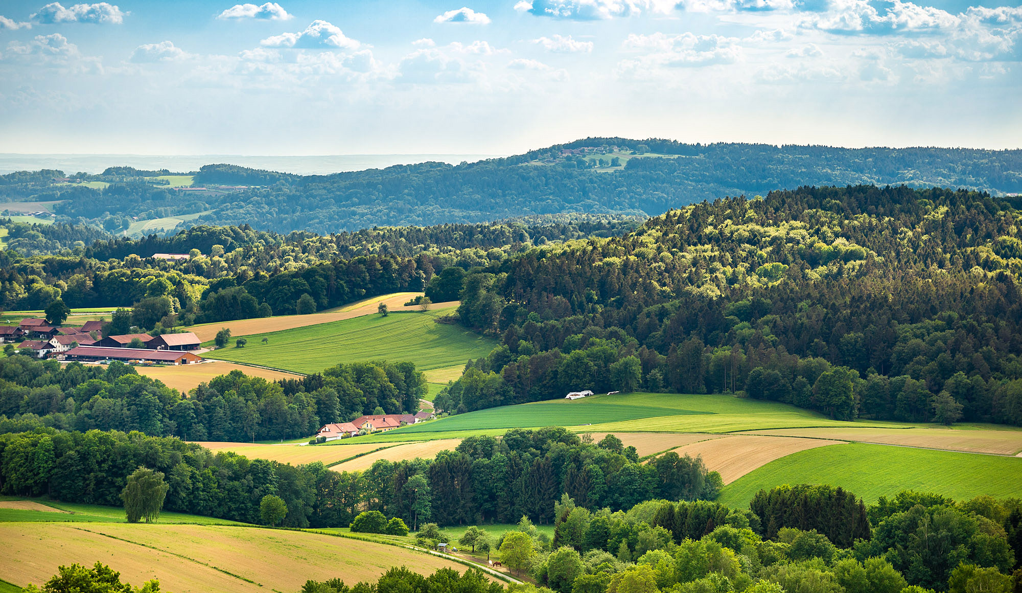 Aussicht vom Hotel auf Bayerischer Wald