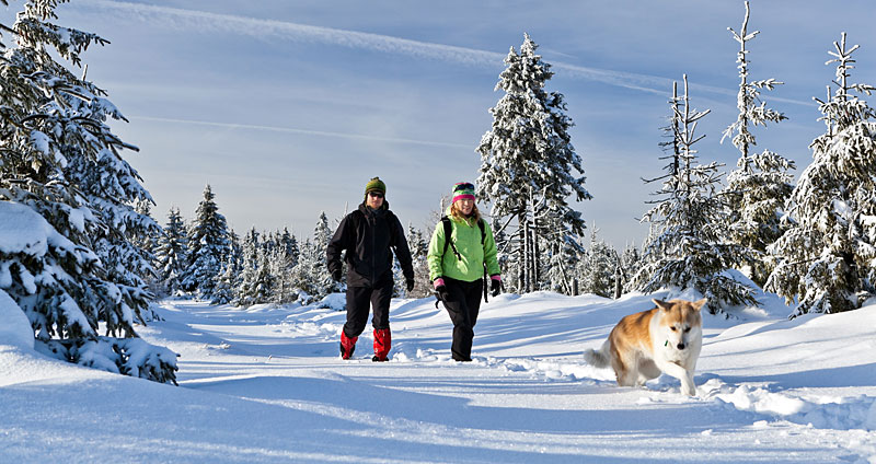 Winterwanderung mit Hund im Schnee