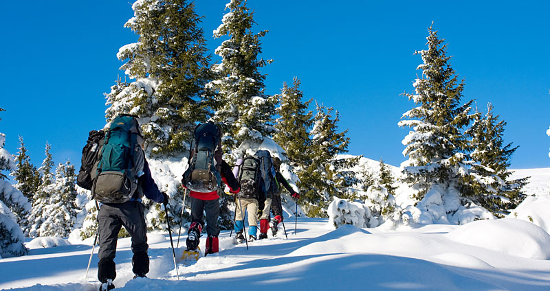 Schneeschuhwandern im Bayerischen Wald in Bayern